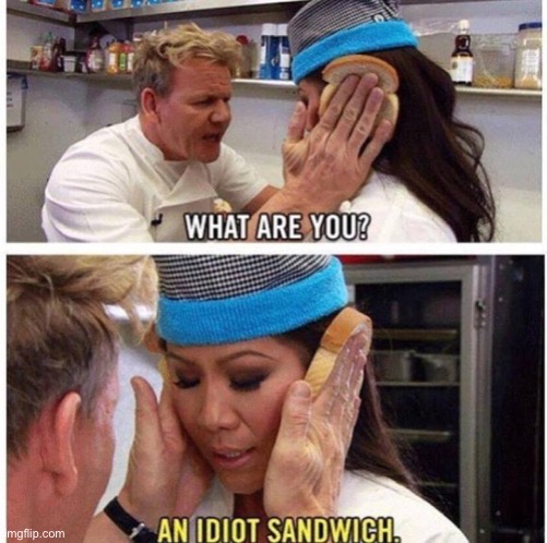 Gordon Ramseys idiot sandwich | image tagged in gordon ramseys idiot sandwich | made w/ Imgflip meme maker