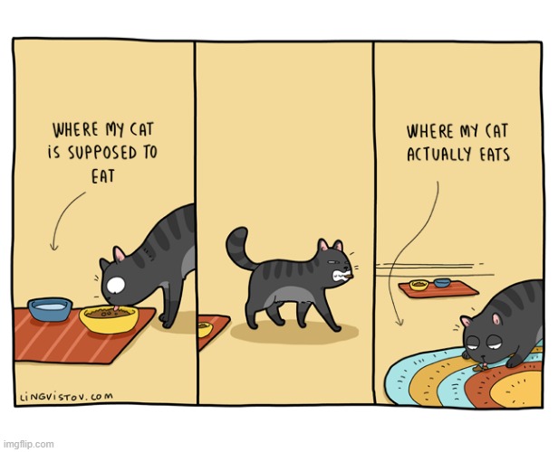 A Cat Guy's Way Of Thinking | image tagged in memes,comics/cartoons,guys,cats,eating,expectation vs reality | made w/ Imgflip meme maker
