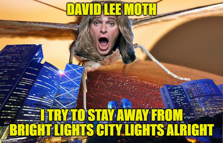 David Lee Moth | DAVID LEE MOTH; I TRY TO STAY AWAY FROM BRIGHT LIGHTS CITY LIGHTS ALRIGHT | image tagged in music,van halen,funny,funny meme | made w/ Imgflip meme maker