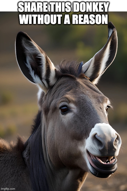 share donkey | SHARE THIS DONKEY
WITHOUT A REASON | image tagged in donkey | made w/ Imgflip meme maker