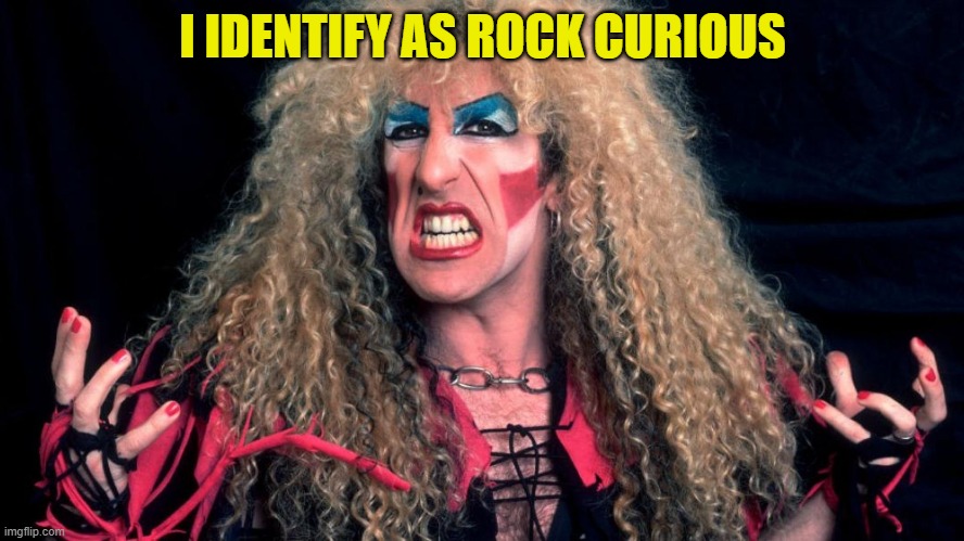 Dee snider | I IDENTIFY AS ROCK CURIOUS | image tagged in twisted sister,rock,music,funny | made w/ Imgflip meme maker