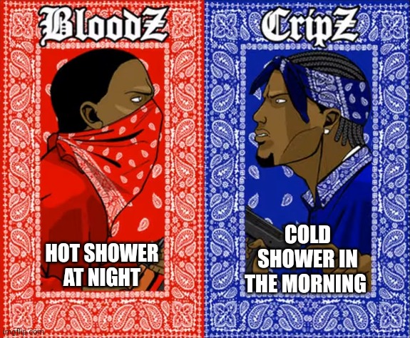 which side are you on | HOT SHOWER AT NIGHT; COLD SHOWER IN THE MORNING | image tagged in which side are you on | made w/ Imgflip meme maker