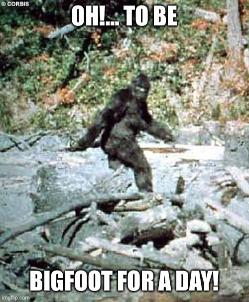 Bigfoot | OH!… TO BE BIGFOOT FOR A DAY! | image tagged in bigfoot | made w/ Imgflip meme maker