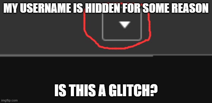 MY USERNAME IS HIDDEN FOR SOME REASON; IS THIS A GLITCH? | made w/ Imgflip meme maker