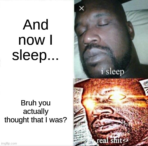 Sleeping Shaq Meme | And now I sleep... Bruh you actually thought that I was? | image tagged in memes,sleeping shaq | made w/ Imgflip meme maker