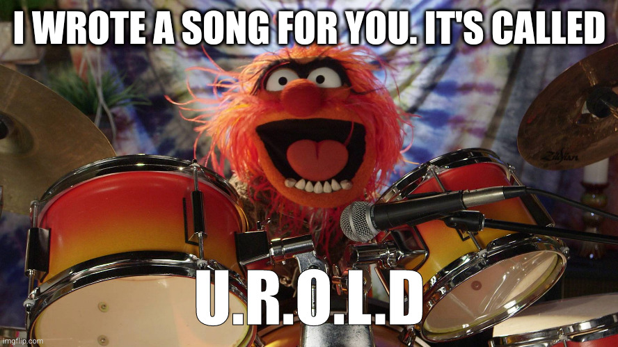 Animal (muppet) | I WROTE A SONG FOR YOU. IT'S CALLED; U.R.O.L.D | image tagged in animal muppet | made w/ Imgflip meme maker