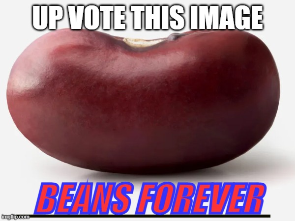 come on show this bean he's is the bomb | UP VOTE THIS IMAGE; BEANS FOREVER | image tagged in beans,upvote,ruler | made w/ Imgflip meme maker