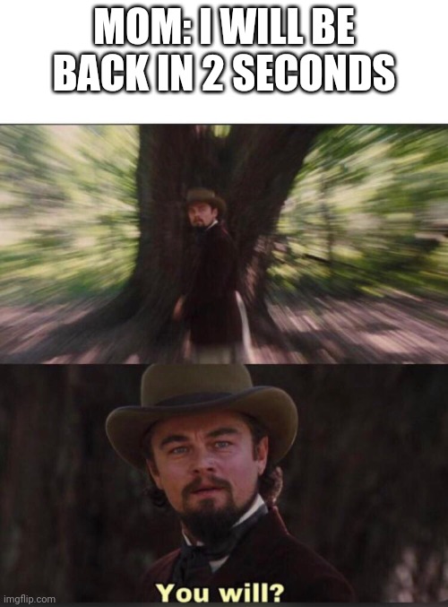 Kids who don't know what sarcasm is be like: | MOM: I WILL BE BACK IN 2 SECONDS | image tagged in you will leonardo django | made w/ Imgflip meme maker