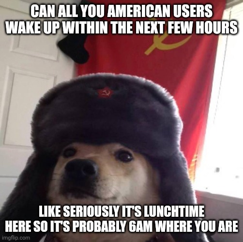 Imagine getting up after 8am | CAN ALL YOU AMERICAN USERS WAKE UP WITHIN THE NEXT FEW HOURS; LIKE SERIOUSLY IT'S LUNCHTIME HERE SO IT'S PROBABLY 6AM WHERE YOU ARE | image tagged in doggo in soviet russia | made w/ Imgflip meme maker