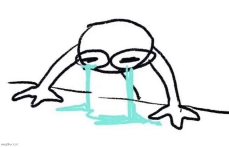 person crying | image tagged in person crying | made w/ Imgflip meme maker