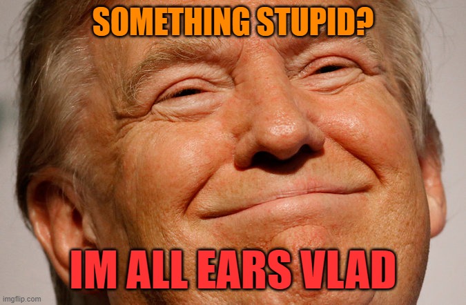 Trump Smile | SOMETHING STUPID? IM ALL EARS VLAD | image tagged in trump smile | made w/ Imgflip meme maker