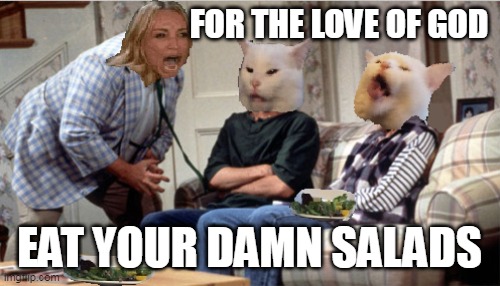 FOR THE LOVE OF GOD; EAT YOUR DAMN SALADS | image tagged in meme,memes,funny,for the love of god,woman yelling at cat | made w/ Imgflip meme maker