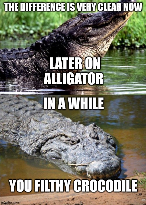 Clever isn't it | THE DIFFERENCE IS VERY CLEAR NOW; LATER ON ALLIGATOR; YOU FILTHY CROCODILE | image tagged in funny memes,alligator,crocodile | made w/ Imgflip meme maker