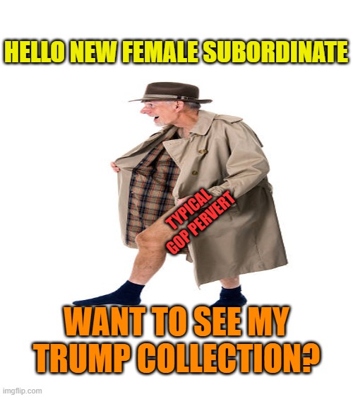 HELLO NEW FEMALE SUBORDINATE WANT TO SEE MY TRUMP COLLECTION? TYPICAL GOP PERVERT | made w/ Imgflip meme maker