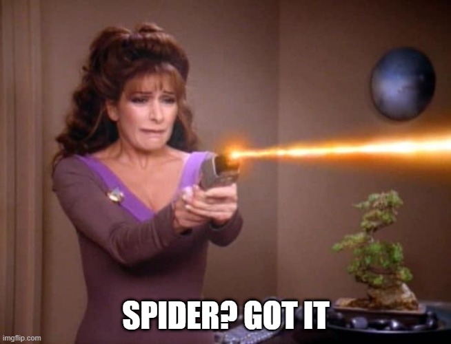 Kill the Spider | SPIDER? GOT IT | image tagged in laser troi | made w/ Imgflip meme maker