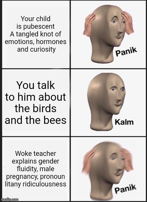 Panik Kalm Panik | Your child is pubescent
A tangled knot of emotions, hormones  and curiosity; You talk to him about the birds and the bees; Woke teacher explains gender fluidity, male pregnancy, pronoun litany ridiculousness | image tagged in memes,panik kalm panik | made w/ Imgflip meme maker