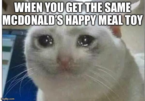 crying cat | WHEN YOU GET THE SAME MCDONALD’S HAPPY MEAL TOY | image tagged in crying cat | made w/ Imgflip meme maker