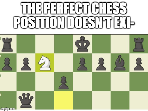 THE PERFECT CHESS POSITION DOESN'T EXI- | image tagged in chess,you fool you fell victim to one of the classic blunders | made w/ Imgflip meme maker