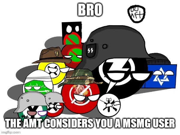The political parties of amt redesign and aft | BRO THE AMT CONSIDERS YOU A MSMG USER | image tagged in the political parties of amt redesign and aft | made w/ Imgflip meme maker