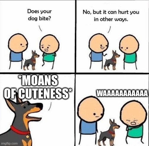 dogs are just so cute... | WAAAAAAAAAAA; *MOANS OF CUTENESS* | image tagged in does your dog bite | made w/ Imgflip meme maker
