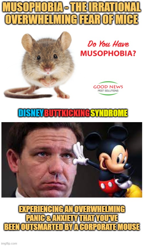 Fascist Ron gets a wake up call | MUSOPHOBIA - THE IRRATIONAL OVERWHELMING FEAR OF MICE; SYNDROME; DISNEY; BUTTKICKING; EXPERIENCING AN OVERWHELMING PANIC & ANXIETY THAT YOU'VE BEEN OUTSMARTED BY A CORPORATE MOUSE | image tagged in florida man,governor,disney,beating,politics | made w/ Imgflip meme maker