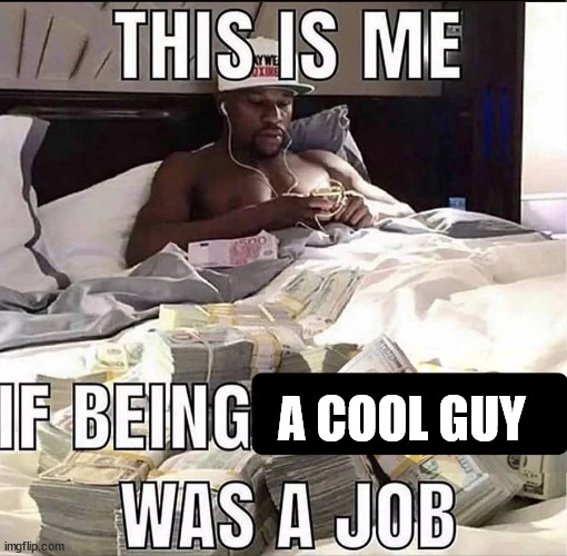 This is me If being X was a job | A COOL GUY | image tagged in this is me if being x was a job | made w/ Imgflip meme maker