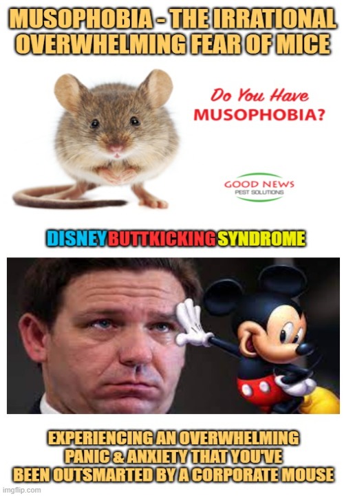 Ron's wake up call from Disney | image tagged in florida man,governor,disney,smart,politics | made w/ Imgflip meme maker