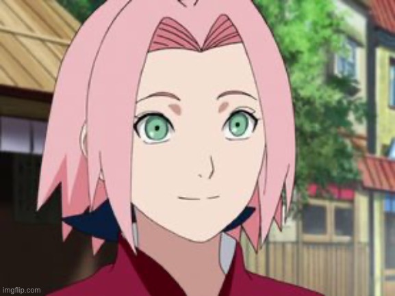 Sakura | image tagged in sakura | made w/ Imgflip meme maker