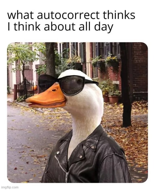 image tagged in ducks,memes,funny | made w/ Imgflip meme maker