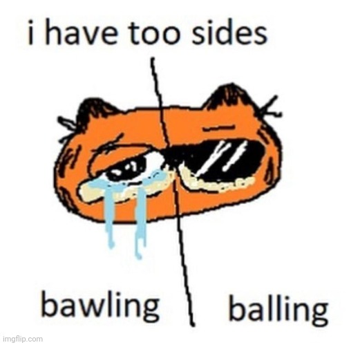 too sides | made w/ Imgflip meme maker
