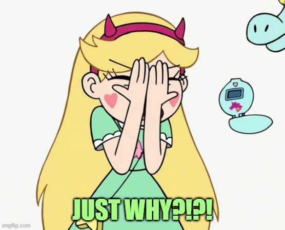 Star Butterfly Severe Facepalm | JUST WHY?!?! | image tagged in star butterfly severe facepalm | made w/ Imgflip meme maker