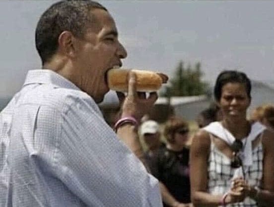 High Quality Obama Hot Dog Blank Meme Template