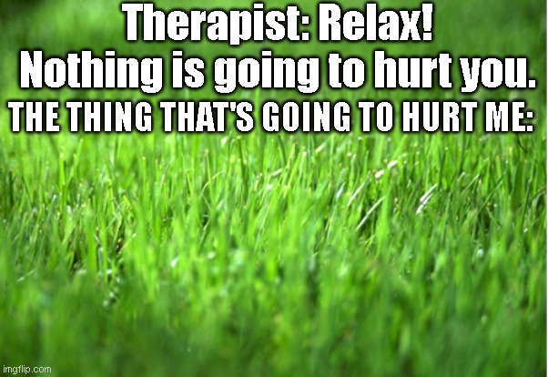 gamers gaming after 25 hours: | Therapist: Relax! Nothing is going to hurt you. THE THING THAT'S GOING TO HURT ME: | image tagged in grass is greener,memes | made w/ Imgflip meme maker