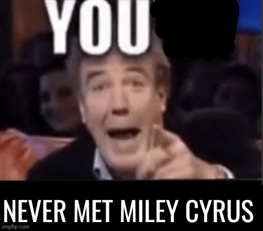 You're X (Blank) | NEVER MET MILEY CYRUS | image tagged in you're x blank | made w/ Imgflip meme maker