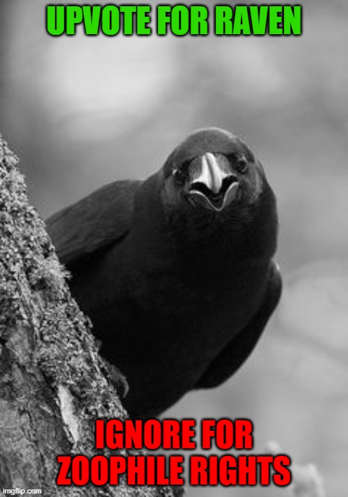 Why Raven | UPVOTE FOR RAVEN; IGNORE FOR ZOOPHILE RIGHTS | image tagged in why raven,raven,begging for upvotes | made w/ Imgflip meme maker