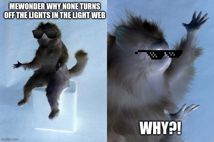 lights | MEWONDER WHY NONE TURNS OFF THE LIGHTS IN THE LIGHT WEB; WHY?! | image tagged in memes,persian cat room guardian | made w/ Imgflip meme maker