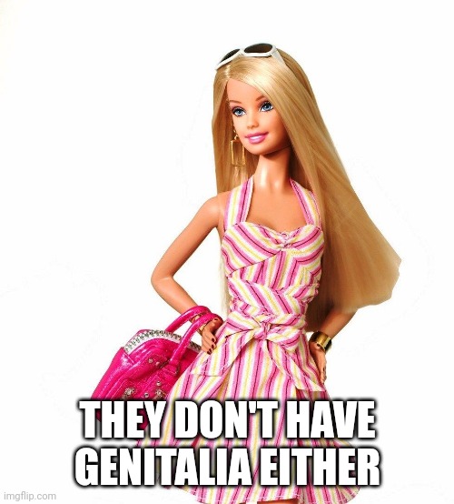 barbie shopping | THEY DON'T HAVE GENITALIA EITHER | image tagged in barbie shopping | made w/ Imgflip meme maker