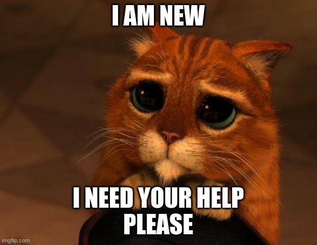 puss in boots eyes | I AM NEW; I NEED YOUR HELP
PLEASE | image tagged in puss in boots eyes | made w/ Imgflip meme maker