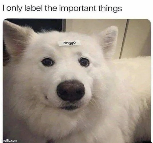 image tagged in wholesome | made w/ Imgflip meme maker