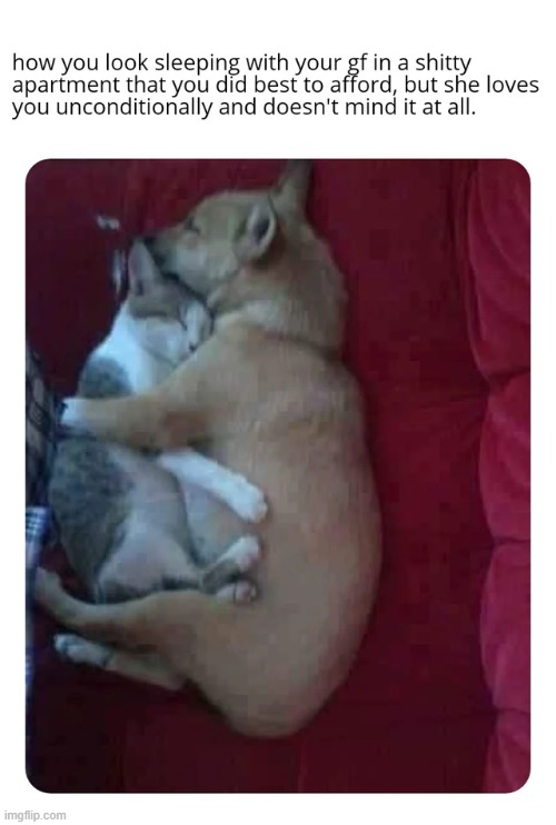 image tagged in wholesome | made w/ Imgflip meme maker