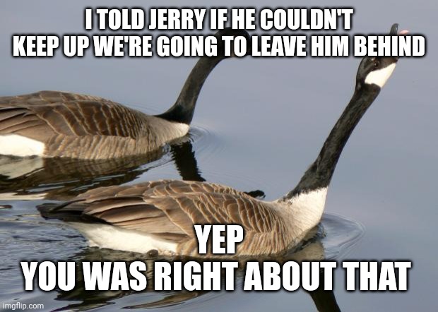 Geese | I TOLD JERRY IF HE COULDN'T KEEP UP WE'RE GOING TO LEAVE HIM BEHIND YEP
YOU WAS RIGHT ABOUT THAT | image tagged in geese | made w/ Imgflip meme maker