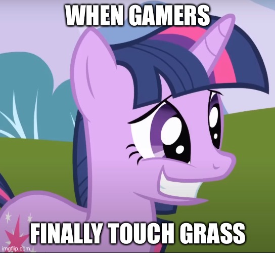 No Life’s | WHEN GAMERS; FINALLY TOUCH GRASS | image tagged in my little pony,my little pony friendship is magic,memes | made w/ Imgflip meme maker