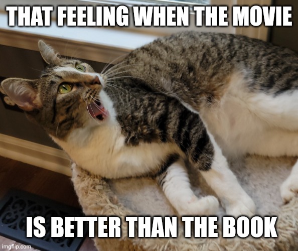 Movies | THAT FEELING WHEN THE MOVIE; IS BETTER THAN THE BOOK | image tagged in surprised cat | made w/ Imgflip meme maker