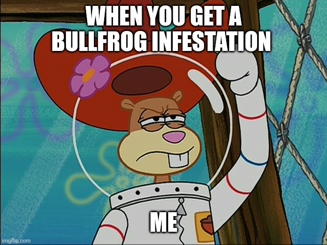 Bullfrog infestation? Yee haw!!! | WHEN YOU GET A BULLFROG INFESTATION; ME | image tagged in sandy cheeks | made w/ Imgflip meme maker