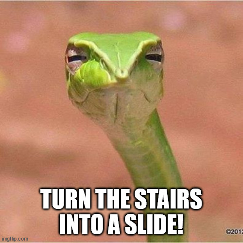 Snek Blank | TURN THE STAIRS INTO A SLIDE! | image tagged in snek blank | made w/ Imgflip meme maker