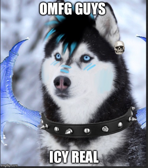 I made my OC irl | OMFG GUYS; ICY REAL | made w/ Imgflip meme maker
