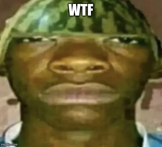 Watermelon Hat | WTF | image tagged in watermelon hat | made w/ Imgflip meme maker
