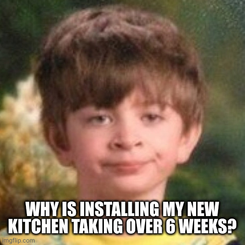 Annoyed face | WHY IS INSTALLING MY NEW KITCHEN TAKING OVER 6 WEEKS? | image tagged in annoyed face | made w/ Imgflip meme maker