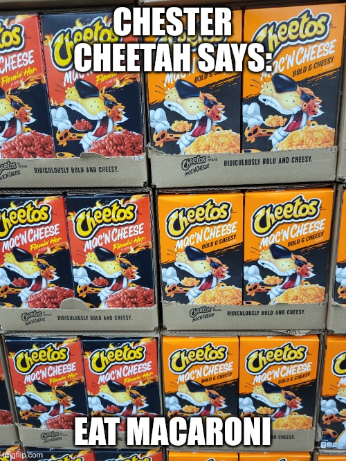 Chester cheeta loves macaroni | CHESTER CHEETAH SAYS:; EAT MACARONI | image tagged in macaroni,food,funny food,cheetos | made w/ Imgflip meme maker