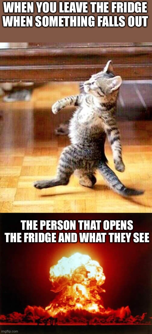 WHEN YOU LEAVE THE FRIDGE WHEN SOMETHING FALLS OUT; THE PERSON THAT OPENS THE FRIDGE AND WHAT THEY SEE | image tagged in cat walking away,memes,nuclear explosion | made w/ Imgflip meme maker